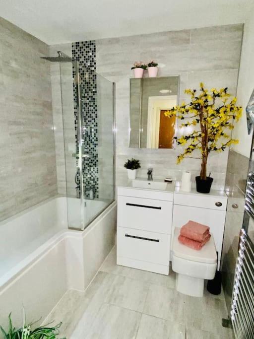 Apartamento 2 Bedroom